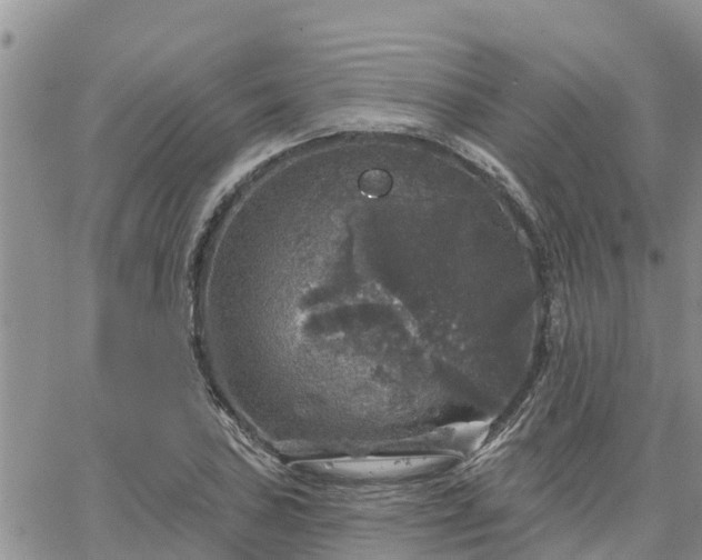 X0000064741027200602171702