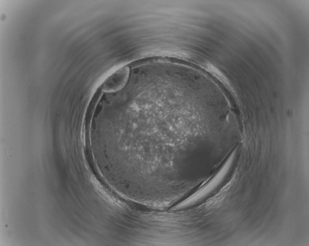 X0000064741028200602171702