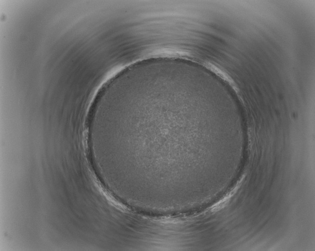 X0000064741029200602171702