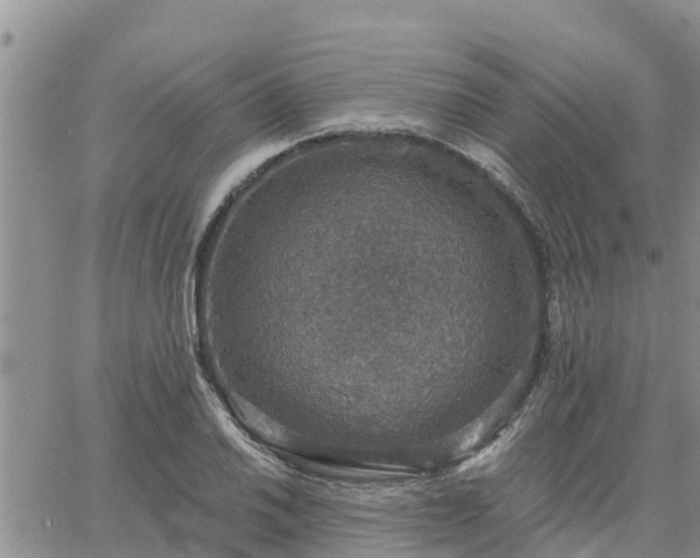 X0000064741030200602171702