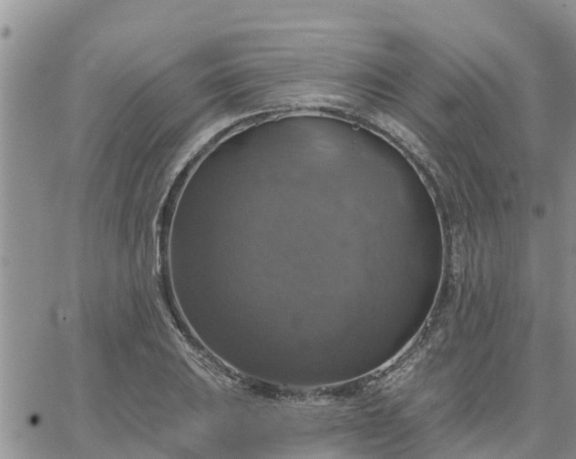 X0000064741031200602171702