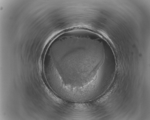 X0000064741032200602171702