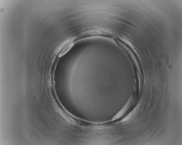 X0000064741034200602171702