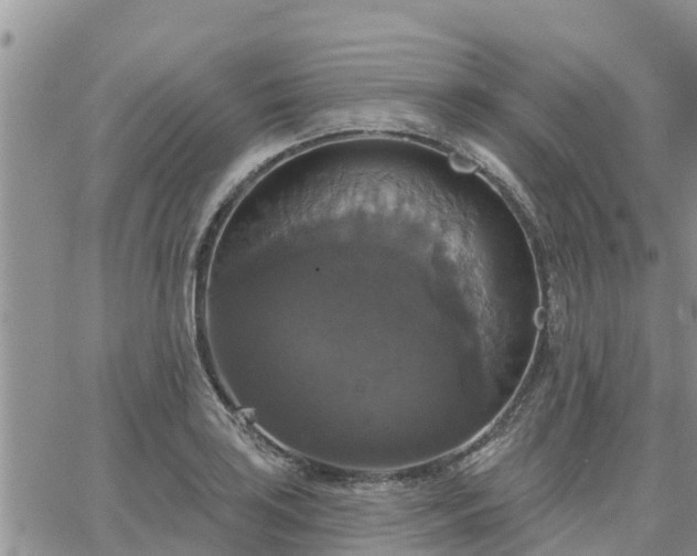 X0000064741035200602171702