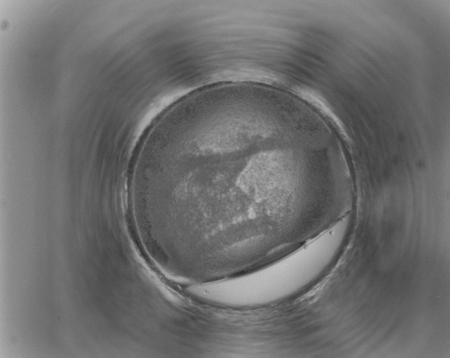 X0000064741040200602171702