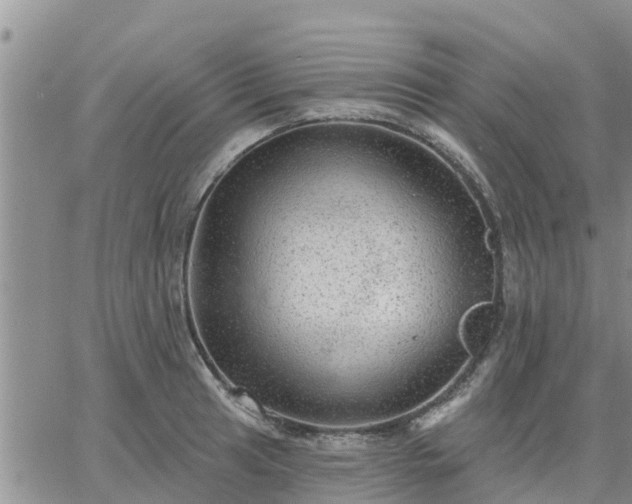 X0000064741041200602171702