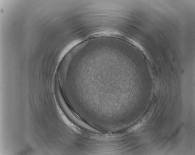 X0000064741042200602171702