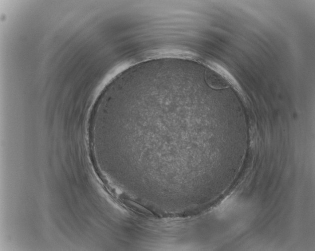 X0000064741043200602171702