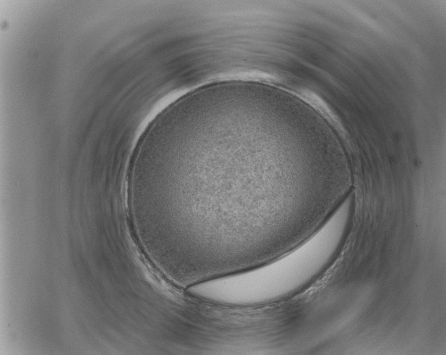 X0000064741044200602171702