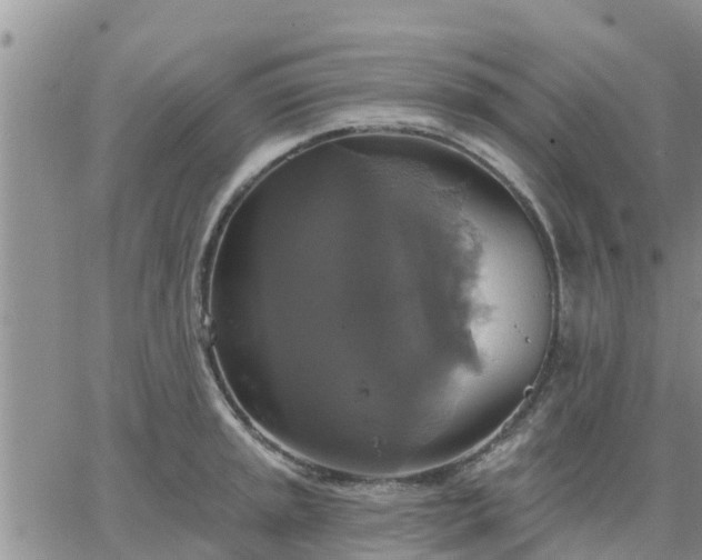 X0000064741045200602171702