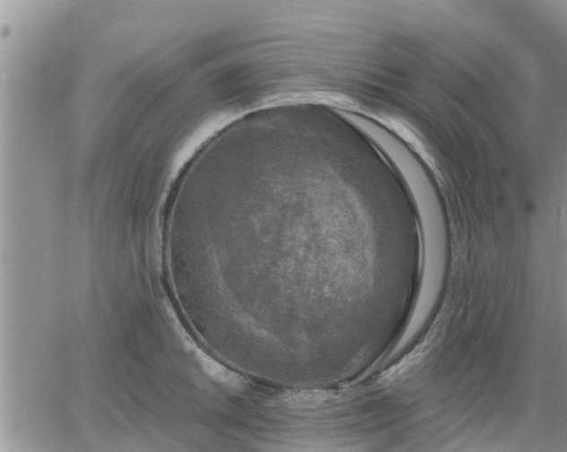 X0000064741046200602171702