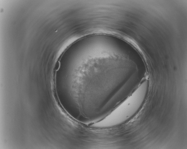 X0000064741048200602171702