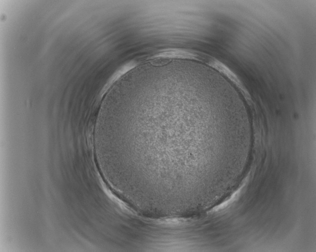 X0000064741049200602171702