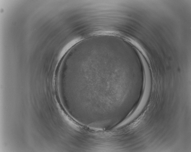 X0000064741050200602171702