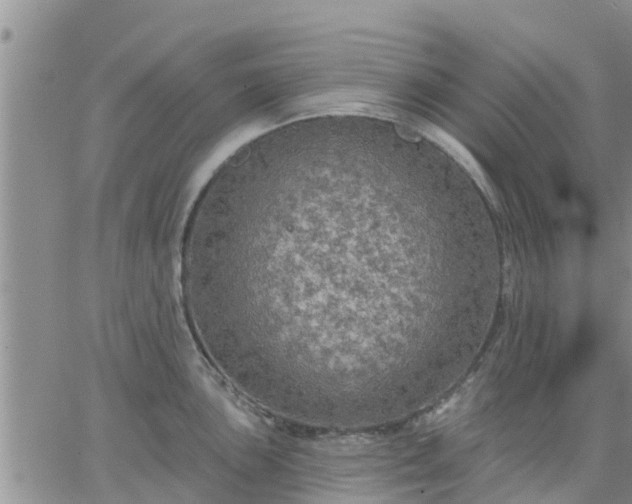 X0000064741051200602171702