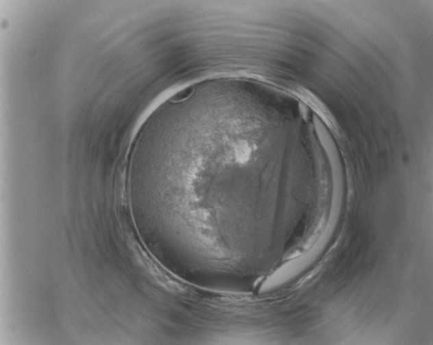 X0000064741052200602171702