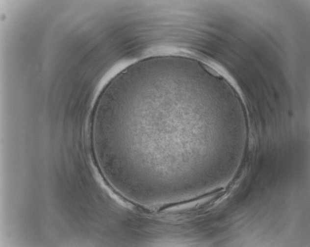 X0000064741053200602171702