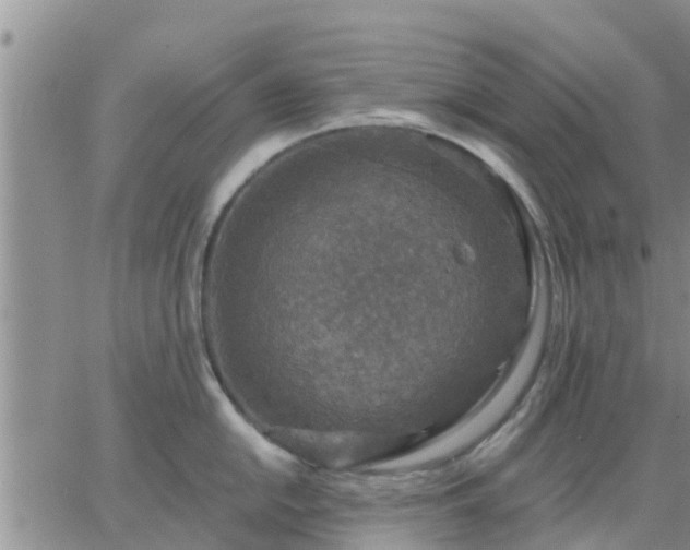 X0000064741054200602171702