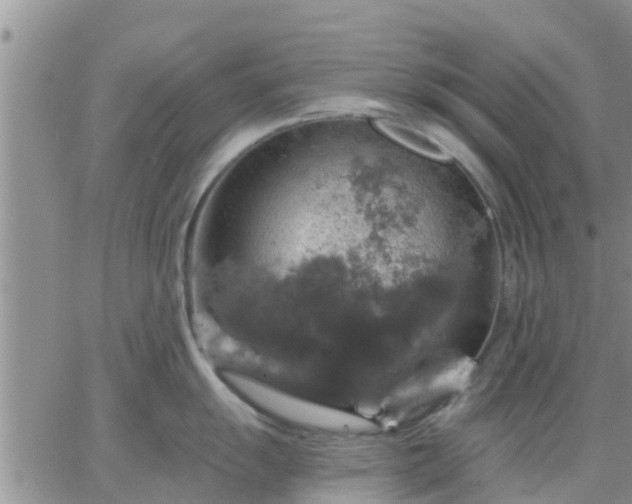 X0000064741055200602171702