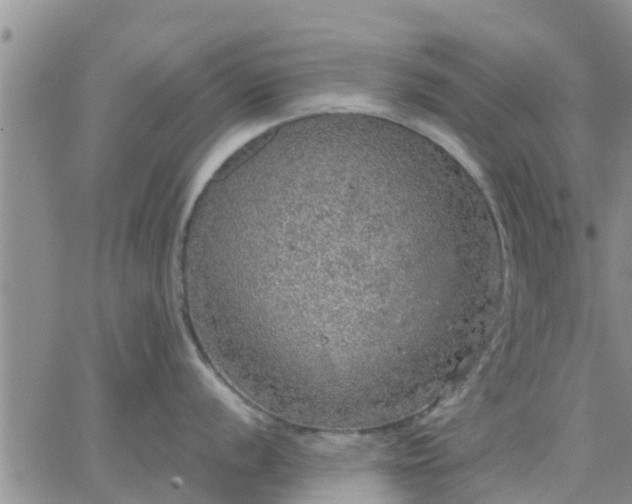 X0000064741056200602171702