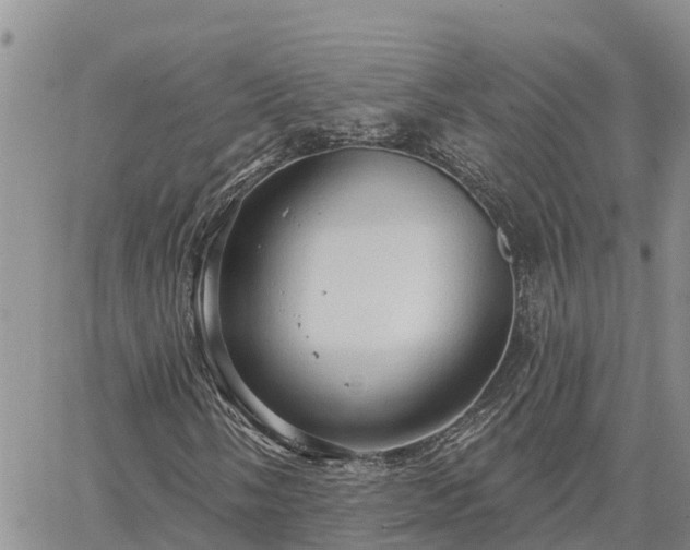 X0000064741058200602171701