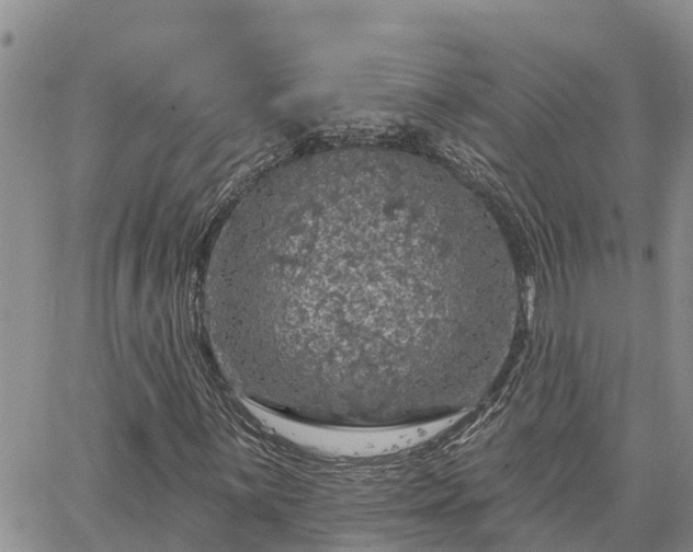 X0000064741059200602171701