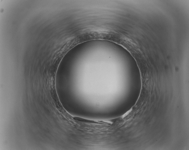 X0000064741061200602171701