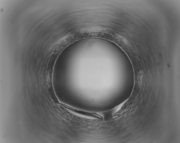 X0000064741062200602171701