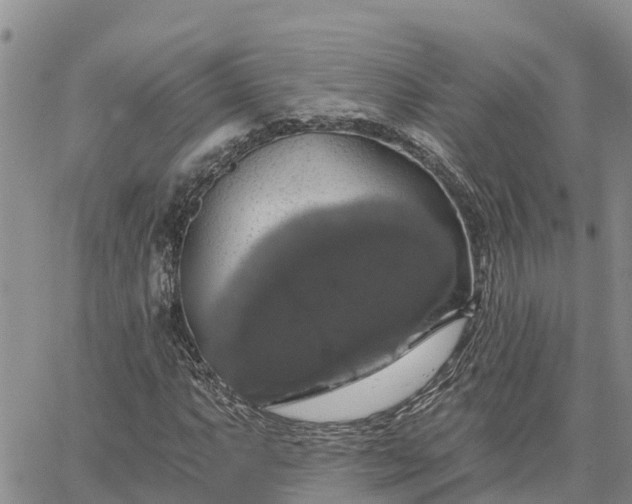 X0000064741063200602171701