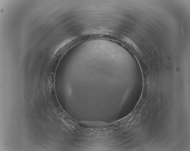 X0000064741064200602171701