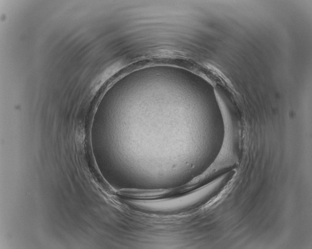 X0000064741065200602171701