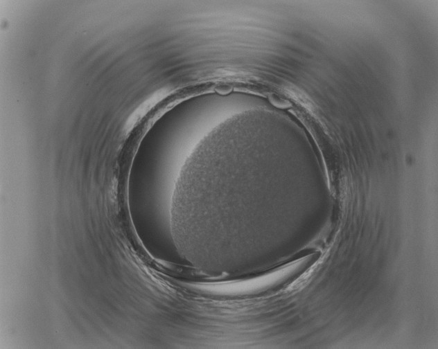 X0000064741066200602171701