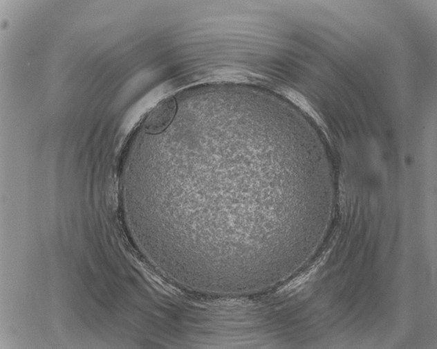 X0000064741067200602171701