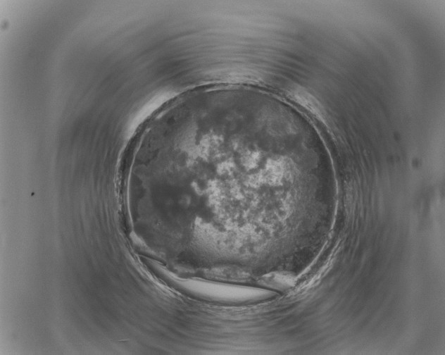 X0000064741071200602171701