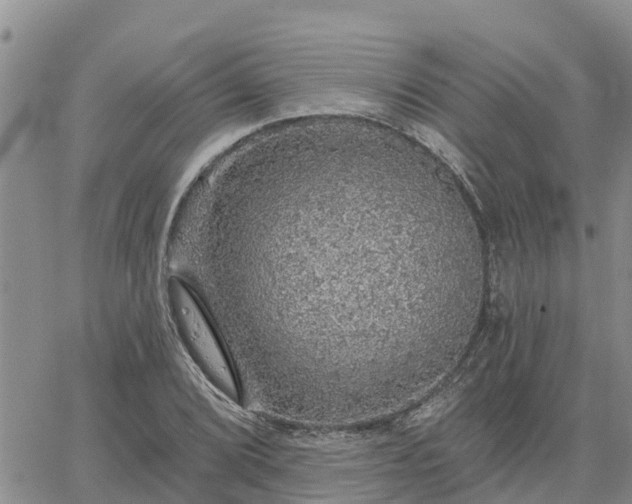 X0000064741072200602171701