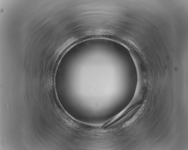 X0000064741073200602171701