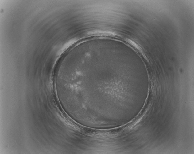 X0000064741074200602171701