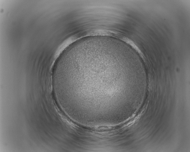 X0000064741075200602171701