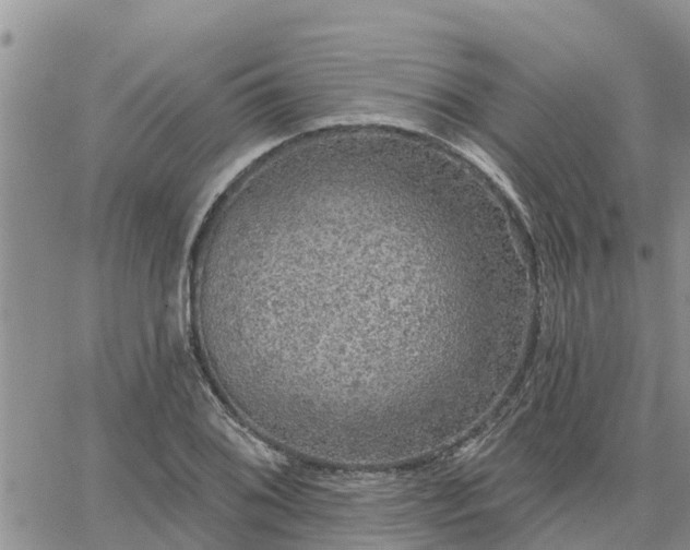 X0000064741076200602171701