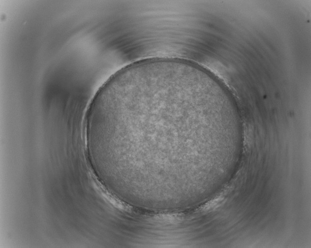 X0000064741078200602171701