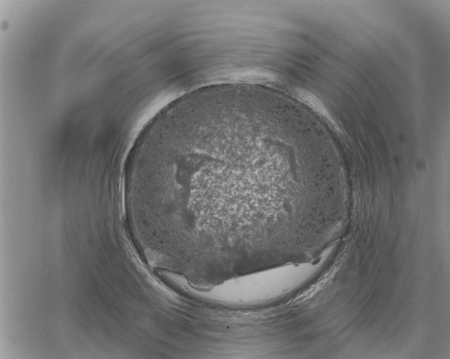 X0000064741079200602171701