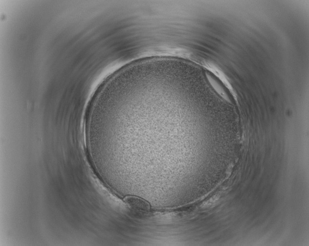 X0000064741080200602171701