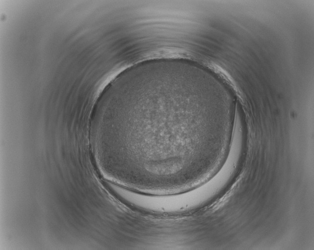 X0000064741081200602171701