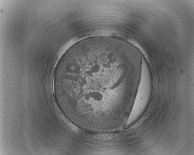 X0000064741083200602171701