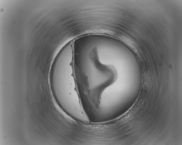 X0000064741084200602171701