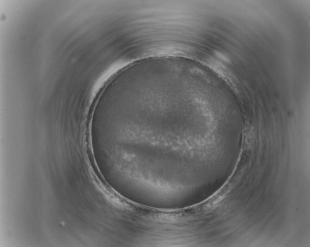 X0000064741086200602171701