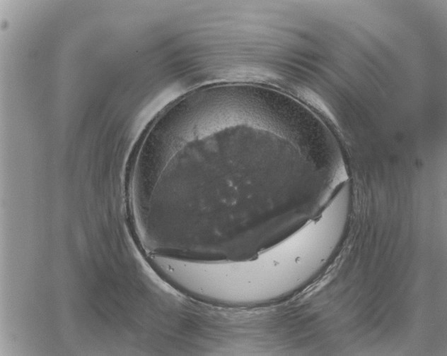 X0000064741087200602171701