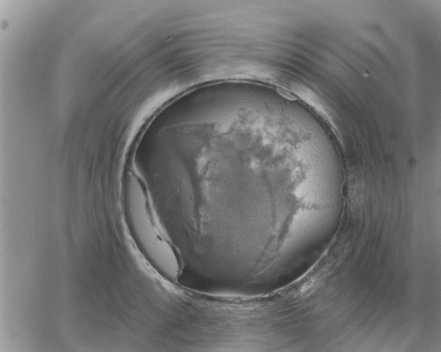 X0000064741088200602171701