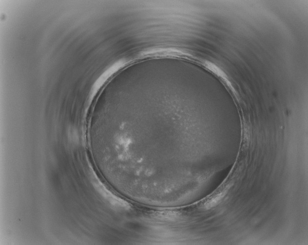 X0000064741090200602171701