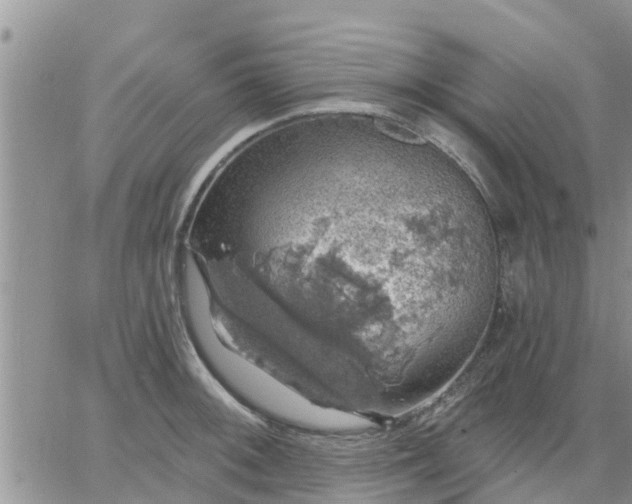 X0000064741092200602171701